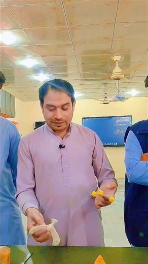 Amazing Potato Balancing Bird !