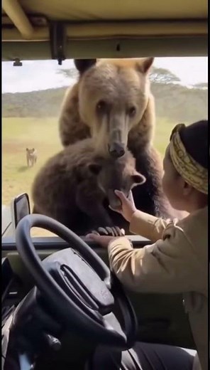 When Animals Trust Humans to Save Their Babies 💔