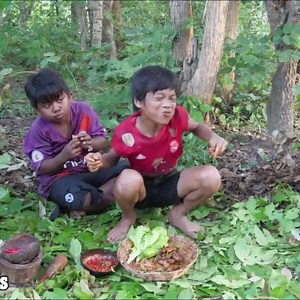 Cooking chicken liver on a rock eating | Survival Wildlife