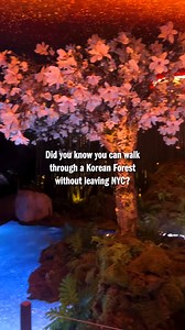 Imagine a forest … but it smells amazing and Gwyneth Paltrow is narrating your journey 🌸 @‌genesishousenyc's latest immersive experience, 'The Forest Within,’ offers a rare moment of calm in the city—an ethereal forest escape filled with cascading greenery, fragrant blossoms and meditative narration by Gwyneth Paltrow herself. On view through June 29. | Time Out New York