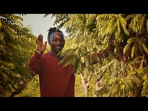 ST Gambian Dream - Nte Borilla ( Official Video Trailer )