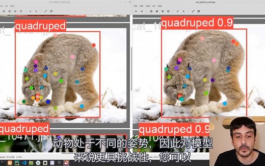 保姆级Yolov8教程｜手把手教你实现检测、分类、细分、姿态等