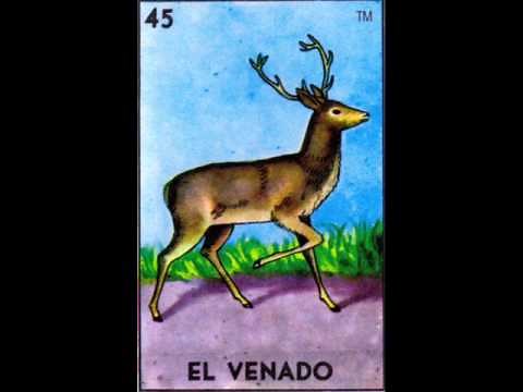 EL VENADO - UNDER SIDE 821