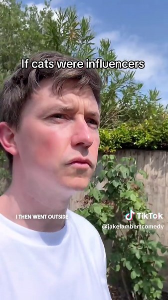 Jake Lambert Comedy (@jakelambertcomedy)’s video of cats