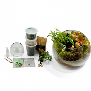 DIY Terrarium Kit With Live Plants & Moss | Complete Glass Terrarium Set With Tools, Soil, Gravel, Decor | Fun Indoor Plant Gift - Etsy