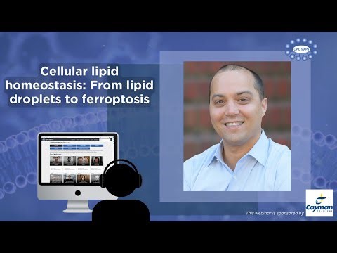 LIPID MAPS Webinar – James Olzmann – 16 December 2025