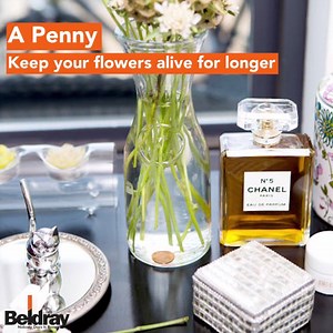 56K views · 256 reactions | These are the ultimate cleaning hacks for your home    Share the video with your friends ❤️ ⬇️ | Beldray | Facebook