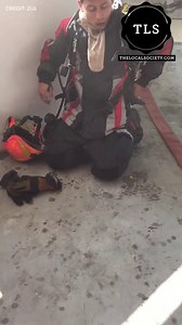 34K views · 703 reactions | This true hero fire fighter from Singapore Civil Defence Force (SCDF) has just fight the blaze in my neighbour's house. He and his team managed to kill the flame. When we told him that there are still 4 cats in the house, he ask for his fellow fire fighter’s breathing tank and went in again to search and rescue the cats! Commendable act indeed. Thank you. Thumbs up SCDF! | Thelocalsociety | Facebook