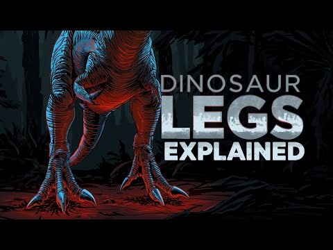What REALLY Made Dinosaurs' Legs and Feet So Unique