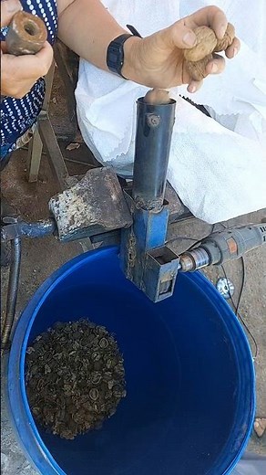 Quebradora de nueces robusta Mucho más rápida ⚡Sin esfuerzo físico 🛠️Diseñada para durar 🔩 #nueces