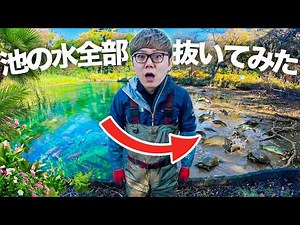 池の水全部抜いてみた