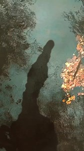 hello_here's_my_latest_spinosaurus_clip_🙂_best_wishes_👍_#dinosaur #Dinosaurs #Dinosaur #Paleontology #Prehistoric #Jurassic #Cretaceous #Triassic #Dino #DinoWorld | Rany online