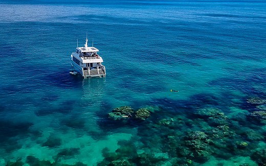 Coral Nurture Program > The Coralclip