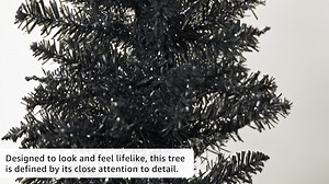 Watch National Tree Company on Amazon Live