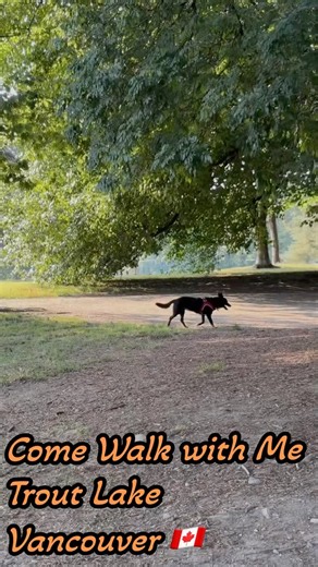 Come Walk with Me | Trout Lake, Vancouver 🇨🇦 | A Peaceful Evening Walk