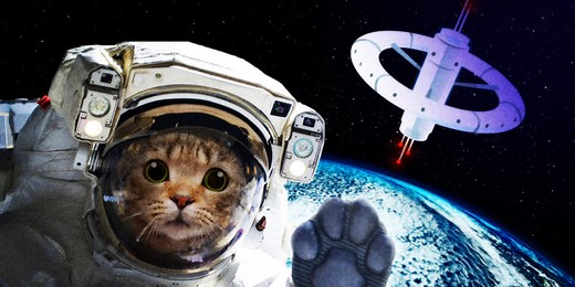 How to keep your sanity when you feel like the world is going crazy