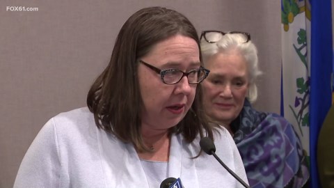 Potential 'Don't Ban Library Books Act' gains support and opposition in Connecticut