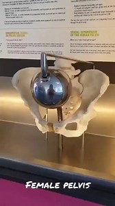 Turns out there are biological differences between men and women. Shocking, I know. | Young America's Foundation