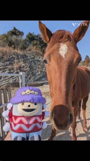 宮崎県高鍋町出身のラッパーのGADOROさんが、ホースパークに来苑！ 午年(年男)ということで、馬たちにいっぱい「ふれあい」ました。 帰られた後、いろんな曲を調べて聴きまくりました🤣勉強不足だた！ 結構な有名人だった💦 知らんかった💦 歌は、ご自身に起きた出来事など、リアルな情景描写や、人間味のある「ありのままの自分(弱さや迷い、葛藤も隠さず、正直に表現)」を歌詞に落とし込んでいるため、共感しやすいし、心に刺さる。 ６０代のおっちゃん(私)にも、グッとくるもんがある！ 実際お会いしたら、気さくないい青年だった！ 自分を飾らない性格も、好感度高い！ めちゃくちゃ応援したくなった！ そんな１日でした。⊂( ･ω･ )⊃ #gadoro #gadoro推し #gadoroさん #高鍋 #宮崎 | きよたけほーすぱーく