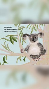19 reactions | Koala poop might be exactly what a growing koala baby needs, but we'll stick with protein bars. Read more about the disgusting side of nature in Haiku, Ew! by @lynnbrunelle and illustrated by Julia Patton. #poetry #haiku #nonfictionforkids | Lerner Publishing Group | Facebook