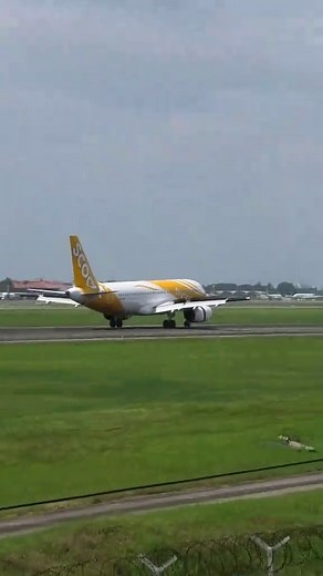 @qeliqell was onboard this Scoot Airbus A320