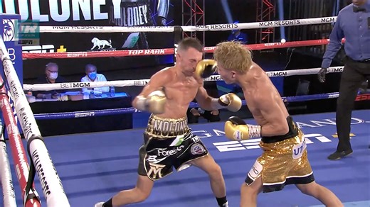 65K views · 870 reactions |  SCARY! 5 of Naoya INOUE'S Best Knockouts... 壘 | IFL TV | Facebook