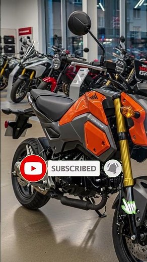 2026 Honda Grom – The Tiny Bike That’s Taking Over America! 😱🔥