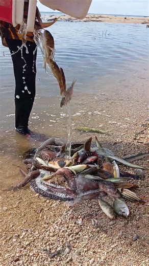 fish reveal #fishingvideo #fishing