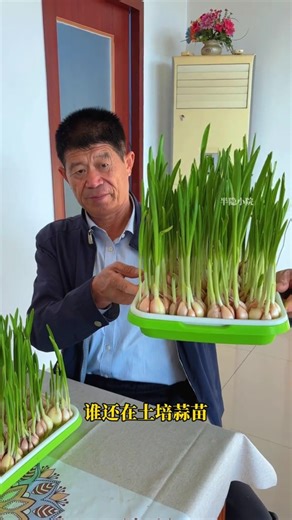 Sprout trays are convenient and easy to use. For families who love garlic sprouts, just plant...