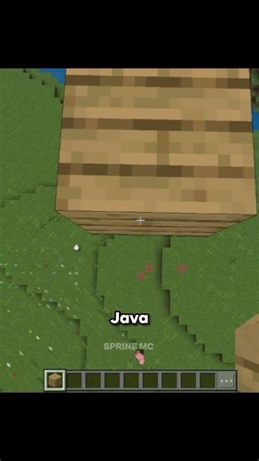“Java vs Bedrock Block Placement 💀”