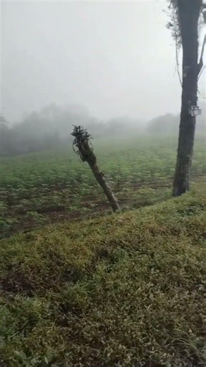 paisejes de la fortuna de San Carlo costa rica.