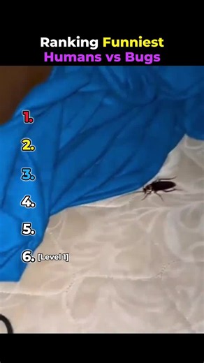 Ranking Funniest Human vs Bugs | Big Bugs