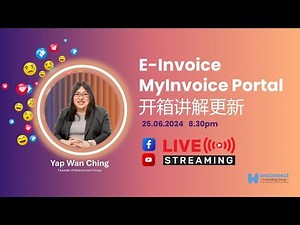 【E-Invoice Portal 开箱讲解更新】