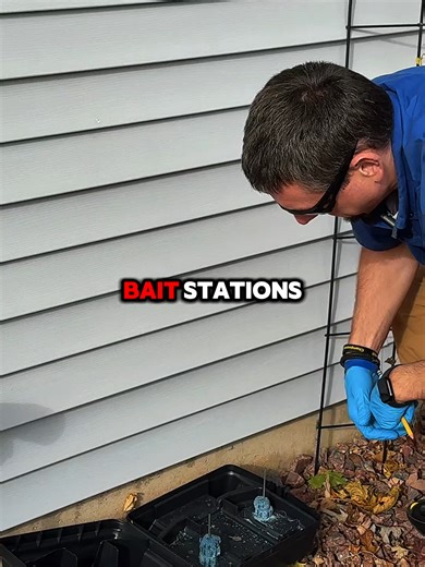 You got rid of the mice… but did you stop the next ones? A clean-out handles the current problem. Prevention is what keeps them out. Without ongoing exterior control, mice from surrounding areas will keep trying to move back in. #mousecontrol #miceprevention #rodentcontrol #pestcontrol #miceinhouse #homeprotection#1stchoicepestsolutions