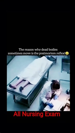 Postmortem Reflex Explained | Cadaveric Spasm vs Rigor Mortis | Forensic Nursing Hindi ⚰️