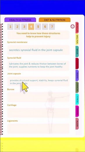 AQA GCSE PE Revision Course: Joint Capsule