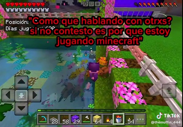 Tendré que ir por más ajolotes son muy poquitos🤣💕 #minecraft #minecraftmemes #minecraftbuilding #contenido