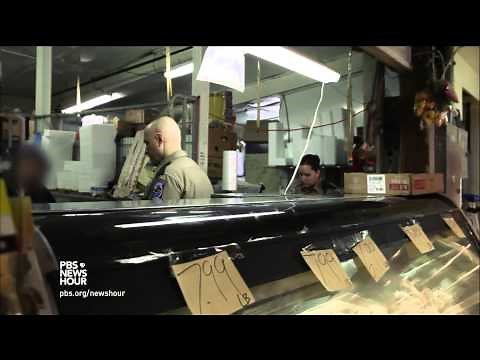 Wildlife detectives bust shellfish poachers in Washington state