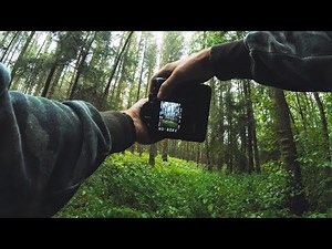 POV Nature Photography | September Forest