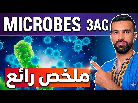 Les Microbes 3ème année collège 🔺 micro-organismes 🔺 Cours complet