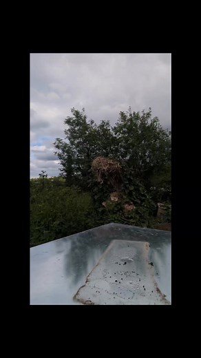 🐝Top Bar Bee Hive🐝🍯 Made From Upcycled Material. #beekeeping #honeybees #beeswarm #topbarbeehive #beehive #honey #SaveTheBees #allotment | Kieron Beaman