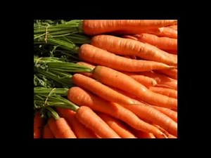 The Six Major Nutrients