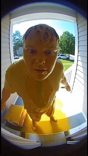 porch pirates caught on camera #funny #porchpirate #caughtoncamara