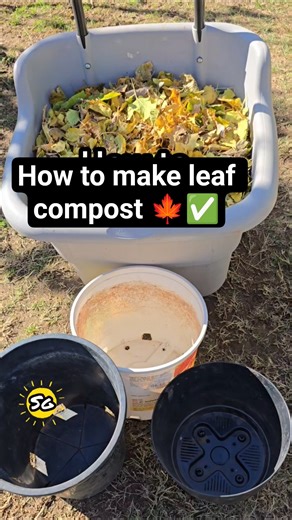 Making compost with leaves 🍁#compost #composting
