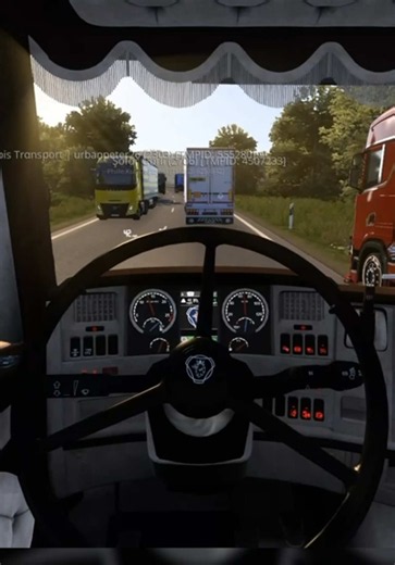 TruckersMP Part 4 🫩🤣 #truckersmp #ets2 #eurotrucksimulator2 #tmp
