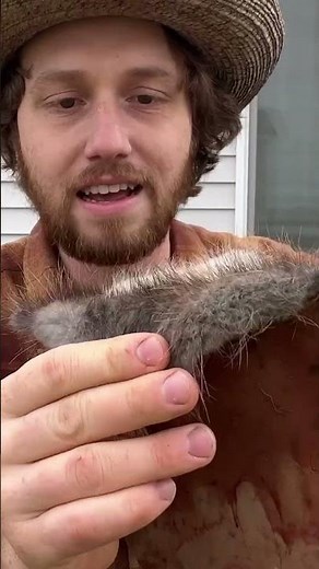 Tan Hides Using Tree Bark! #traditional #outdoors #survival #camping #sustainable #howto