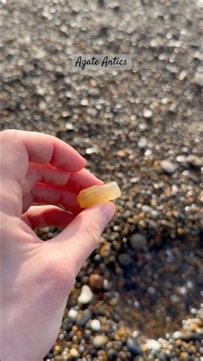 Found a limb cast agate at Gleneden Beach, OR! #agate #rockhounding #oregon