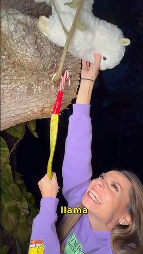 WHEN YOUR TREE CANT CLIMB DOWN THE LLAMA