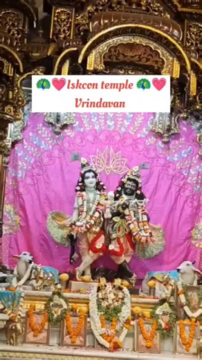 Iskcon Temple Vrindavan 🌸#vrindavan #iskontemple #youtube