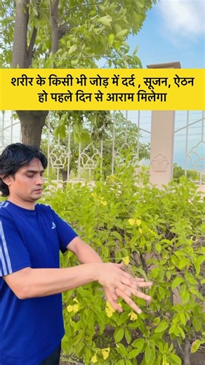 शरीर के किसी भी जोड़ में दर्द, सूजन, ऐठन हो पहले दिन से ठीक